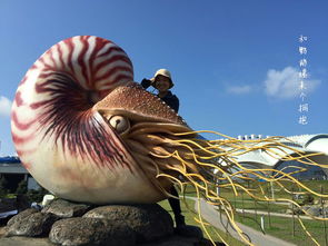 海洋生物 水泥