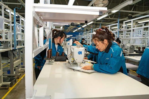 高新區(qū)職工勞動(dòng)和技能競(jìng)賽在延鋒安道拓工廠成功舉辦，網(wǎng)絡(luò)技術(shù)服務(wù)助力‘五個(gè)百萬’競(jìng)賽落地